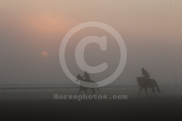 saratoga_morning261