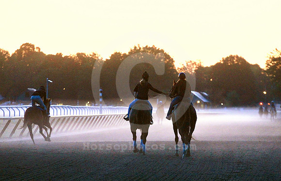 saratoga morning