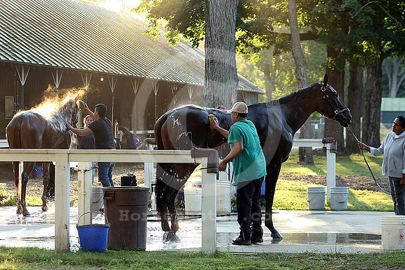 saratoga morning