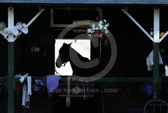 saratoga morning