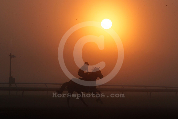 saratoga_morning263