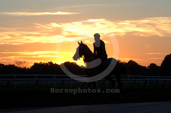 saratoga morning