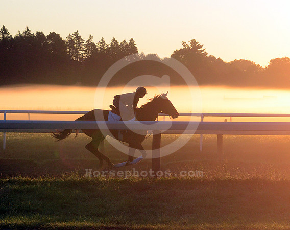 saratoga morning