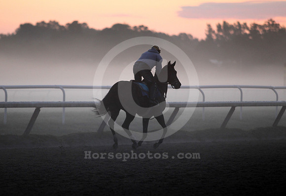 saratoga morning