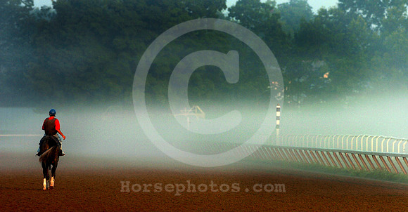 saratoga morning