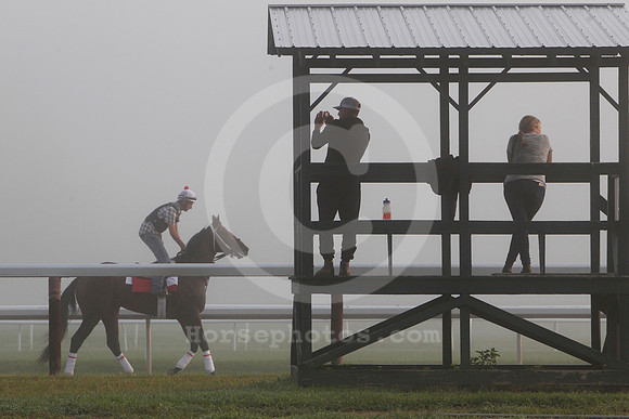 saratoga_morning278