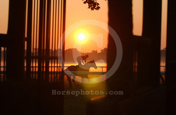 saratoga morning