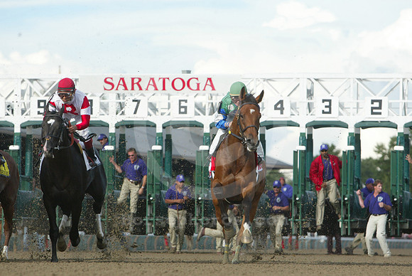 saratoga racing action