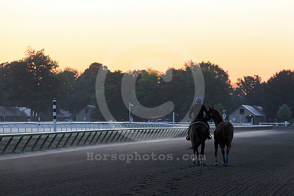 saratoga morning