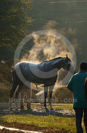 saratoga morning