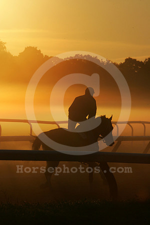 saratoga morning