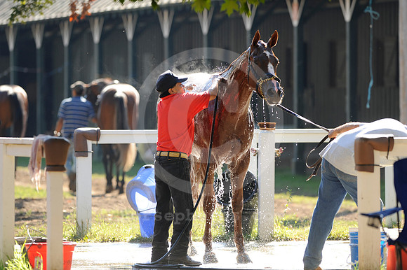 saratoga morning