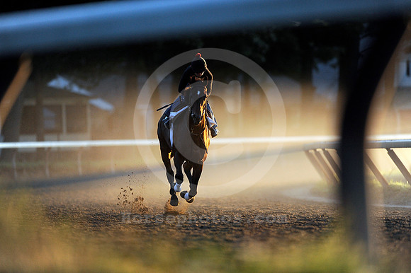 saratoga morning