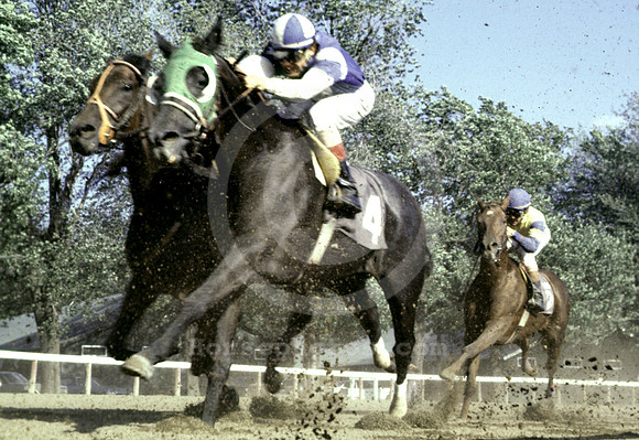 saratoga racing action