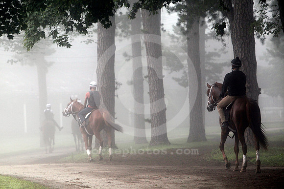 saratoga_morning270