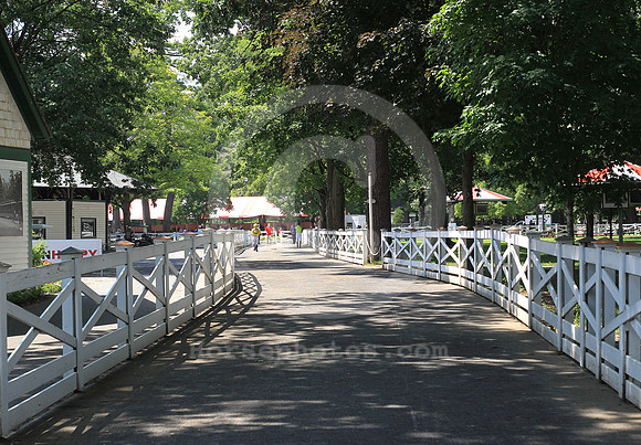 saratoga_paddock52