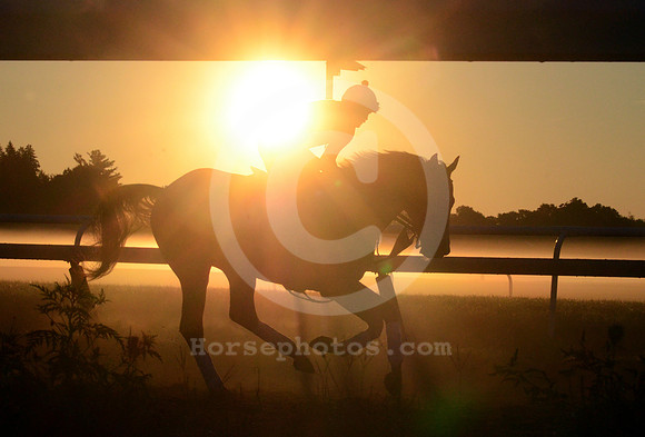 saratoga morning