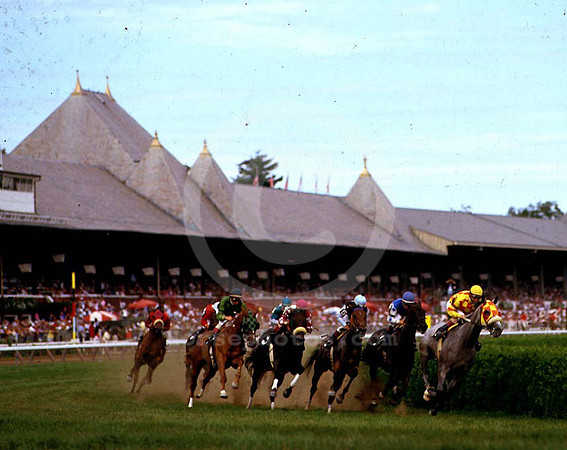 saratoga racing action