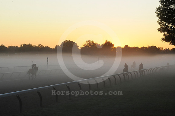saratoga morning