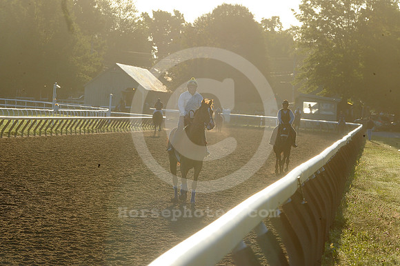 saratoga morning