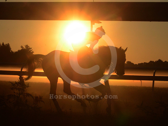 saratoga morning