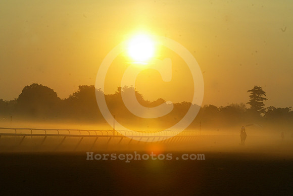 saratoga morning