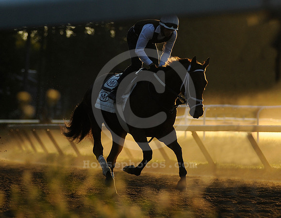 saratoga morning