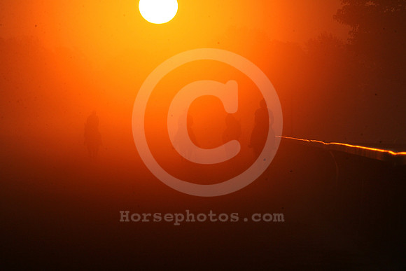 saratoga morning