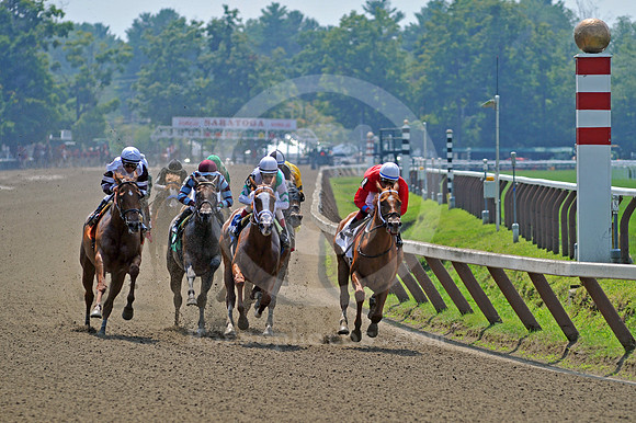 saratoga racing action