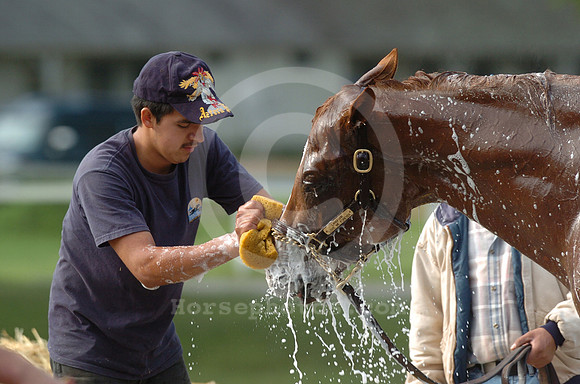 saratoga morning