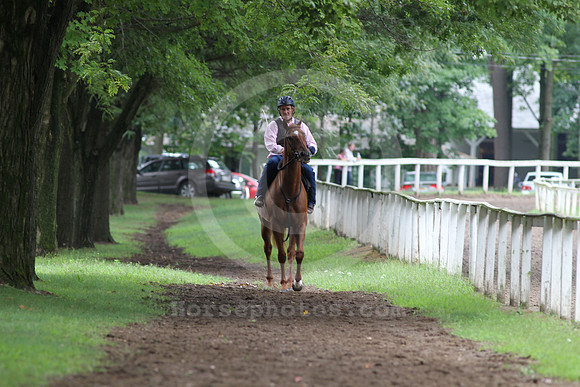 saratoga morning