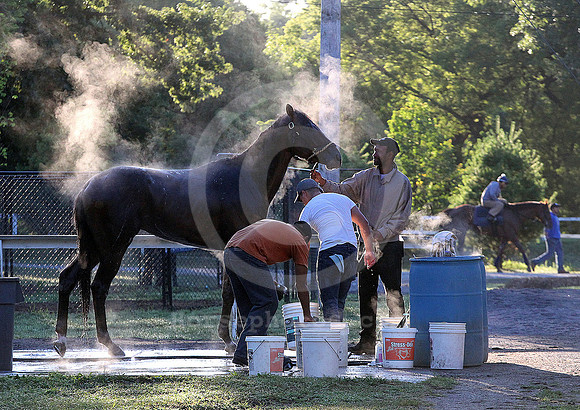 saratoga morning