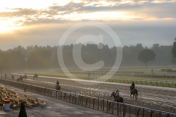 saratoga morning