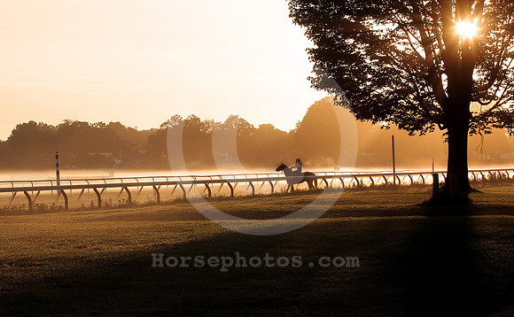saratoga morning
