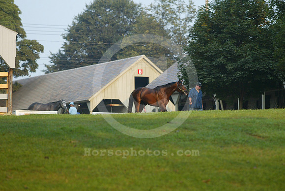 saratoga morning