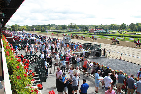 saratoga_grandstand153_st