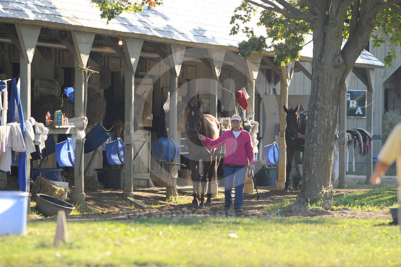 saratoga morning