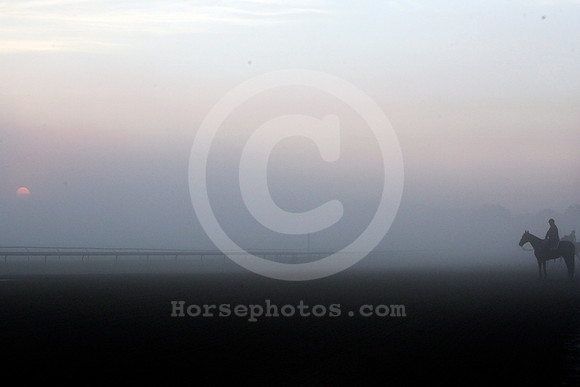 saratoga_morning255