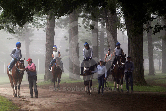saratoga_morning283