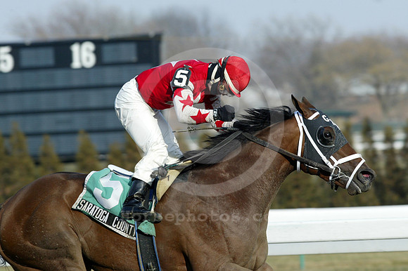 saratogacounty04_dk