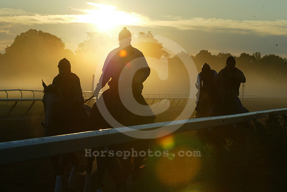 saratoga morning