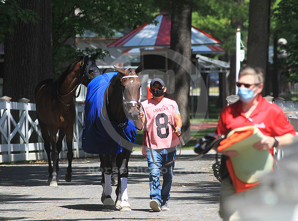 saratoga_groom01_st