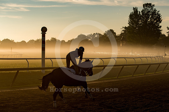 saratoga morning
