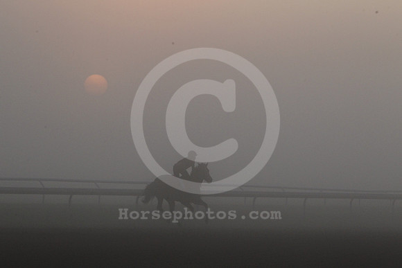 saratoga_morning260