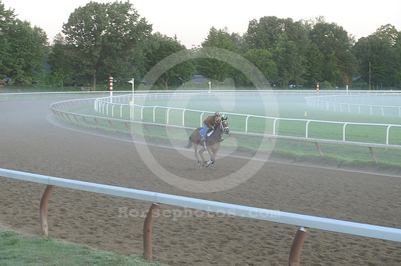 saratoga morning