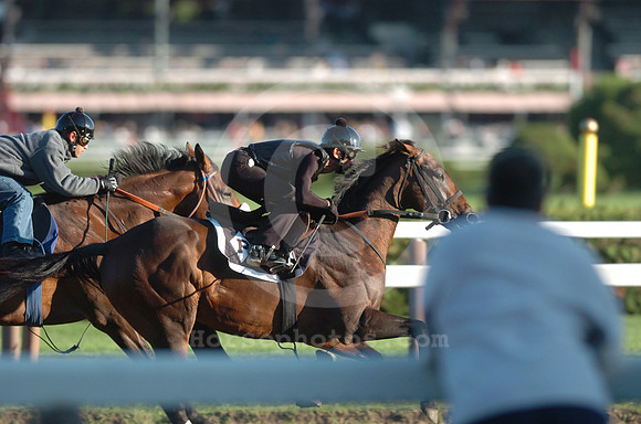 saratoga morning