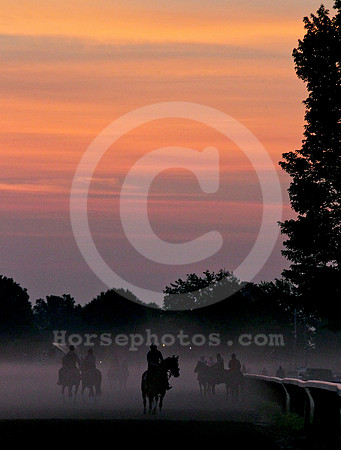 saratoga morning