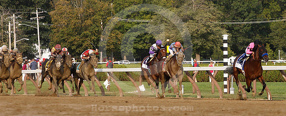saratoga racing action