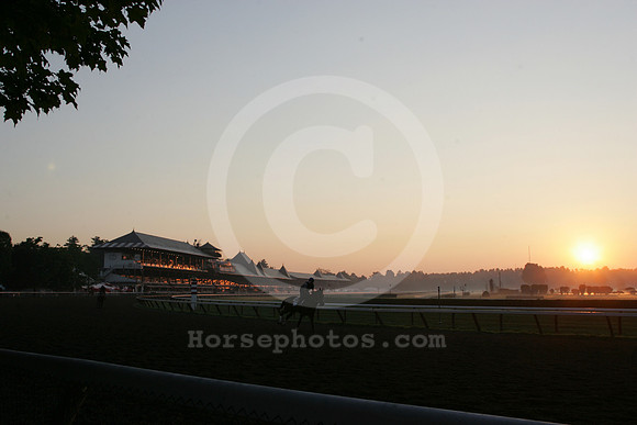 saratoga morning