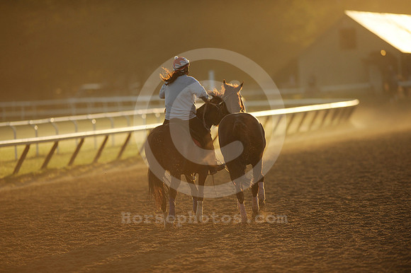 saratoga morning